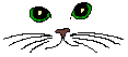 Cat26
